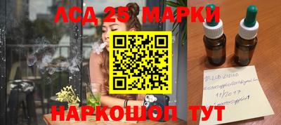 прущие грибы Тула