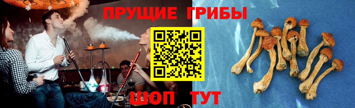 Галлюциногенные грибы мухоморы  Псилоцибиновые грибы прущие грибы  Бийск  Вход с VPN 